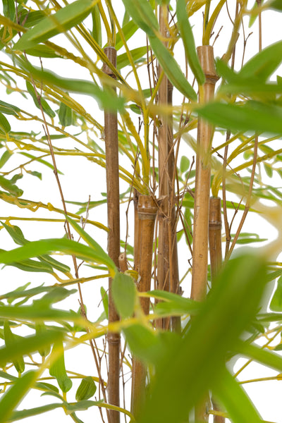 Bambus japonez artificial H90cm cu 972 frunze