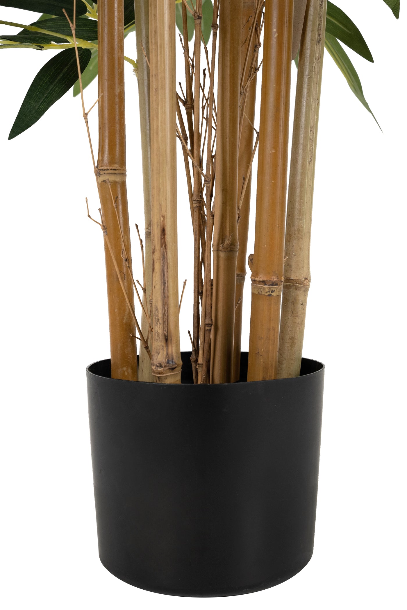 Bambus natural H150 cm cu 960 frunze