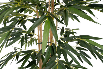Bambus natural H150 cm cu 960 frunze
