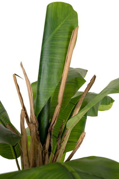 Palmier artificial Bananier cu 11 frunze H180 cm
