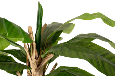 Palmier artificial Bananier cu 13 frunze H210 cm