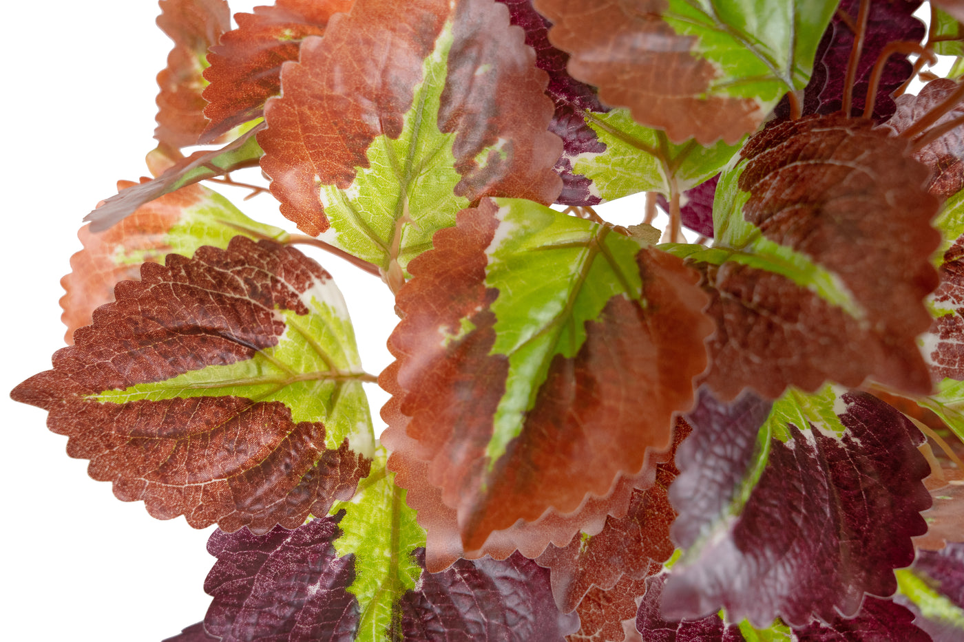 Begonia artificiala multicolora Rex D35xH40 cm cu protectie UV