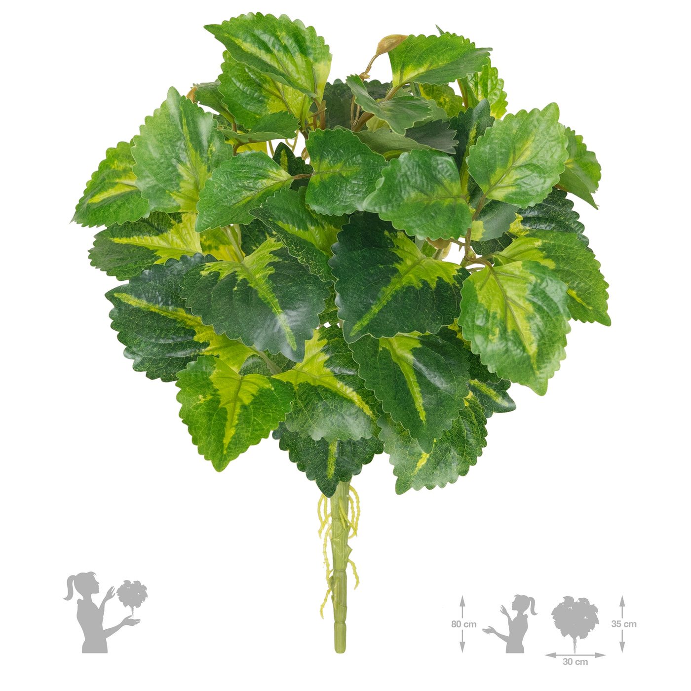 Begonia Rex artificiala verde cu galben D35xH40 cm cu protectie UV