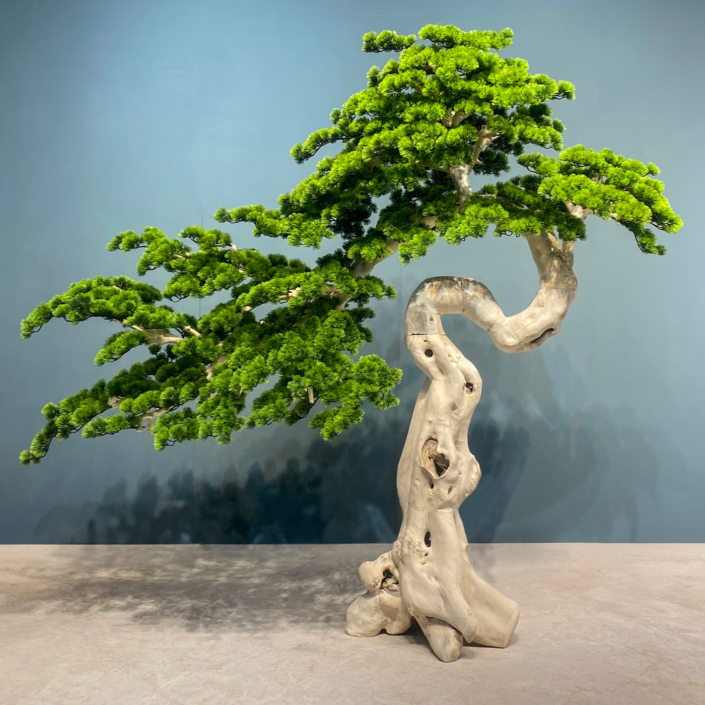 Bonsai artificial cu trunchi natural din lemn Pin H225 cm