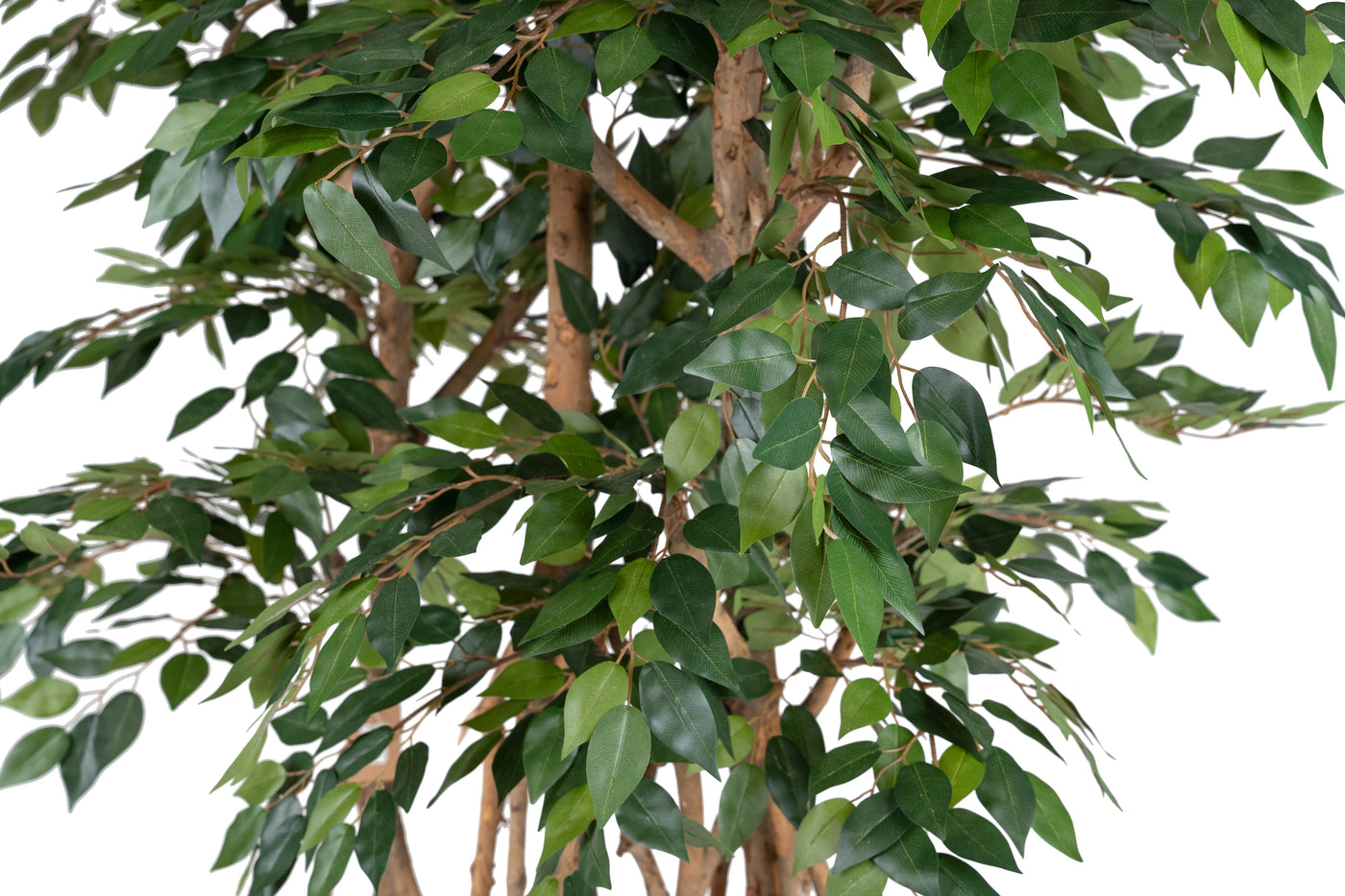 Bonsai artificial H180cm Ficus microcarpa cu 2880 frunze, Coroana W110cm