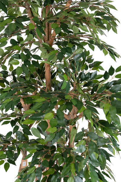 Bonsai artificial H180cm Ficus microcarpa cu 2880 frunze. Coroana W110cm