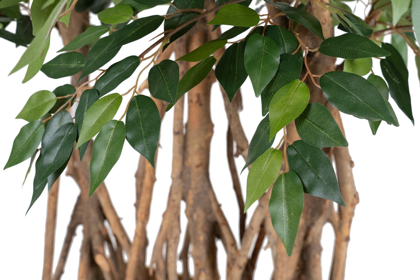 Bonsai artificial H180cm Ficus microcarpa cu 2880 frunze. Coroana W110cm