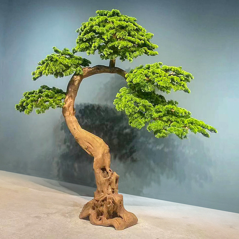 Bonsai artificial H185cm Pin cu trunchi natural din lemn. coroana L210xW80cm