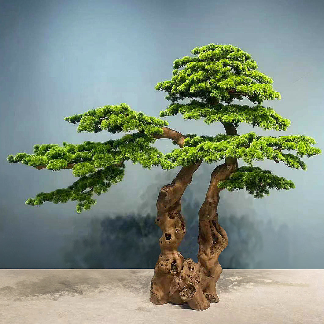 Bonsai artificial H200cm Pin cu trunchi natural din lemn. coroana L230xW90cm