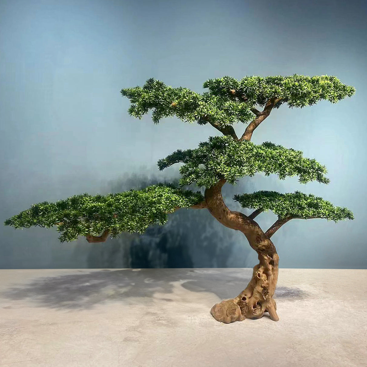 Bonsai artificial H200cm Pin cu trunchi natural din lemn. coroana L250xW110cm