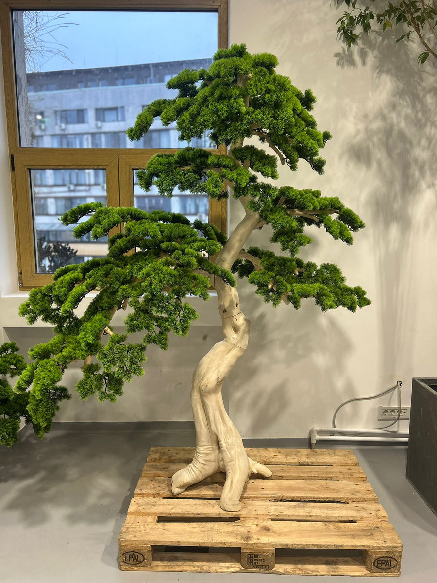 Bonsai artificial H200cm Pin cu trunchi natural din lemn cu frunze verzi