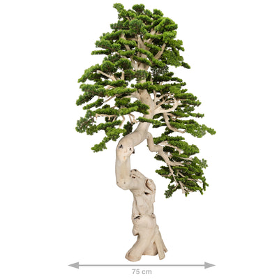 Bonsai artificial H230cm Pin cu trunchi natural din lemn. coroana L250xW65cm