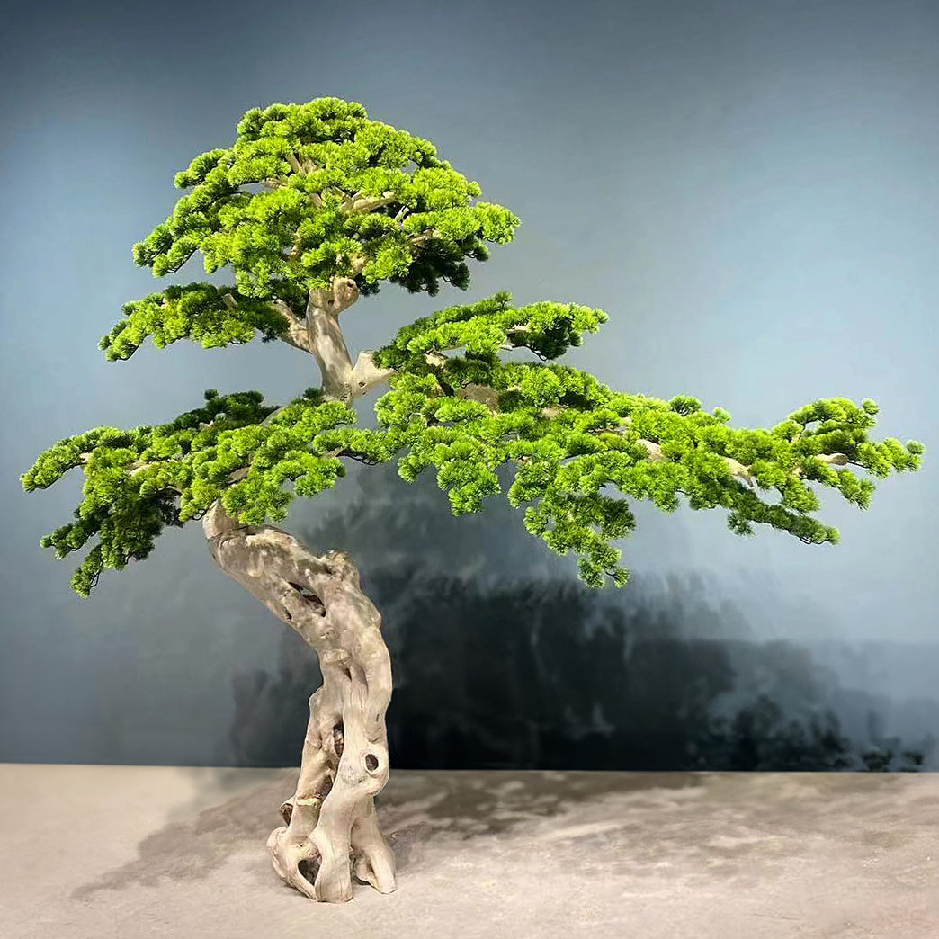 Bonsai artificial H240cm Pin cu trunchi natural din lemn. coroana L240xW120cm