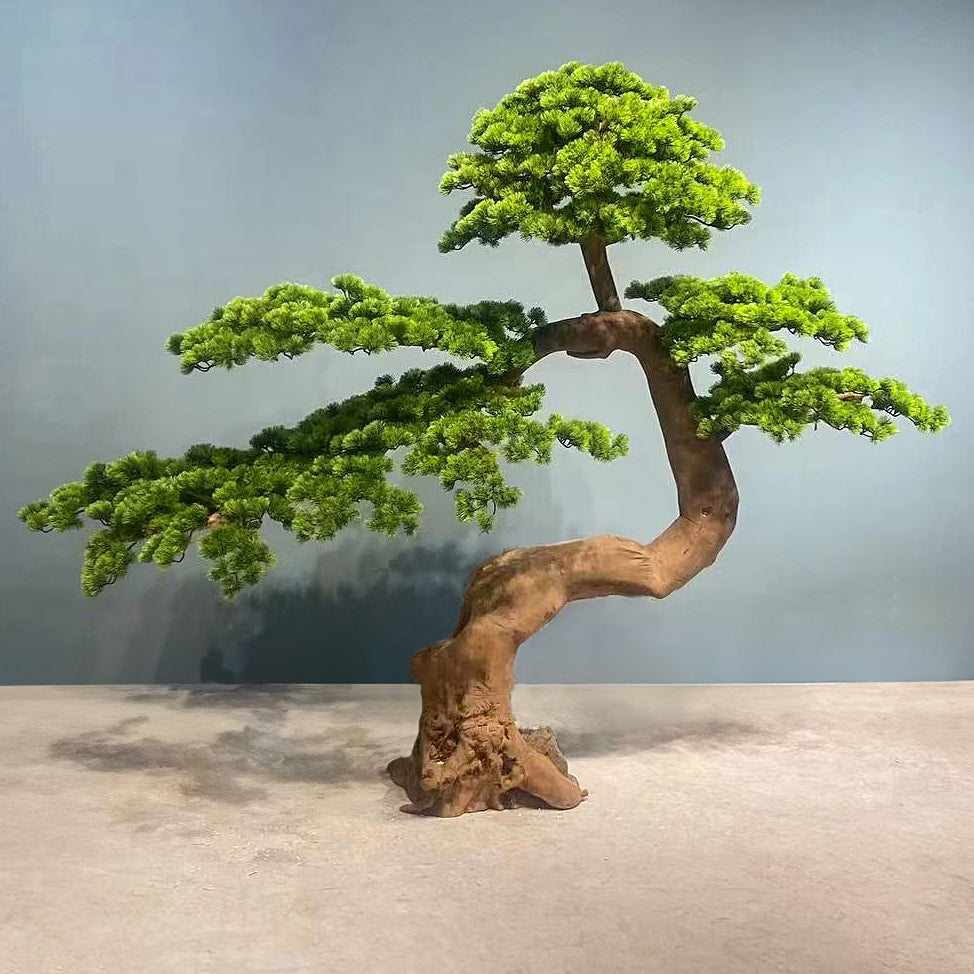 Bonsai artificial H260cm Pin cu trunchi natural din lemn. coroana L210xW100cm