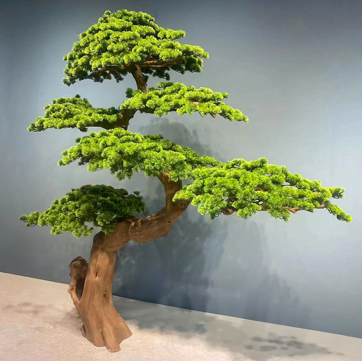 Bonsai artificial H260cm Pin cu trunchi natural din lemn. coroana L250xW100cm