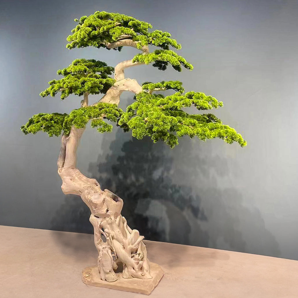 Bonsai artificial H270cm Pin cu trunchi din lemn natural alb. coroana L210xW90cm