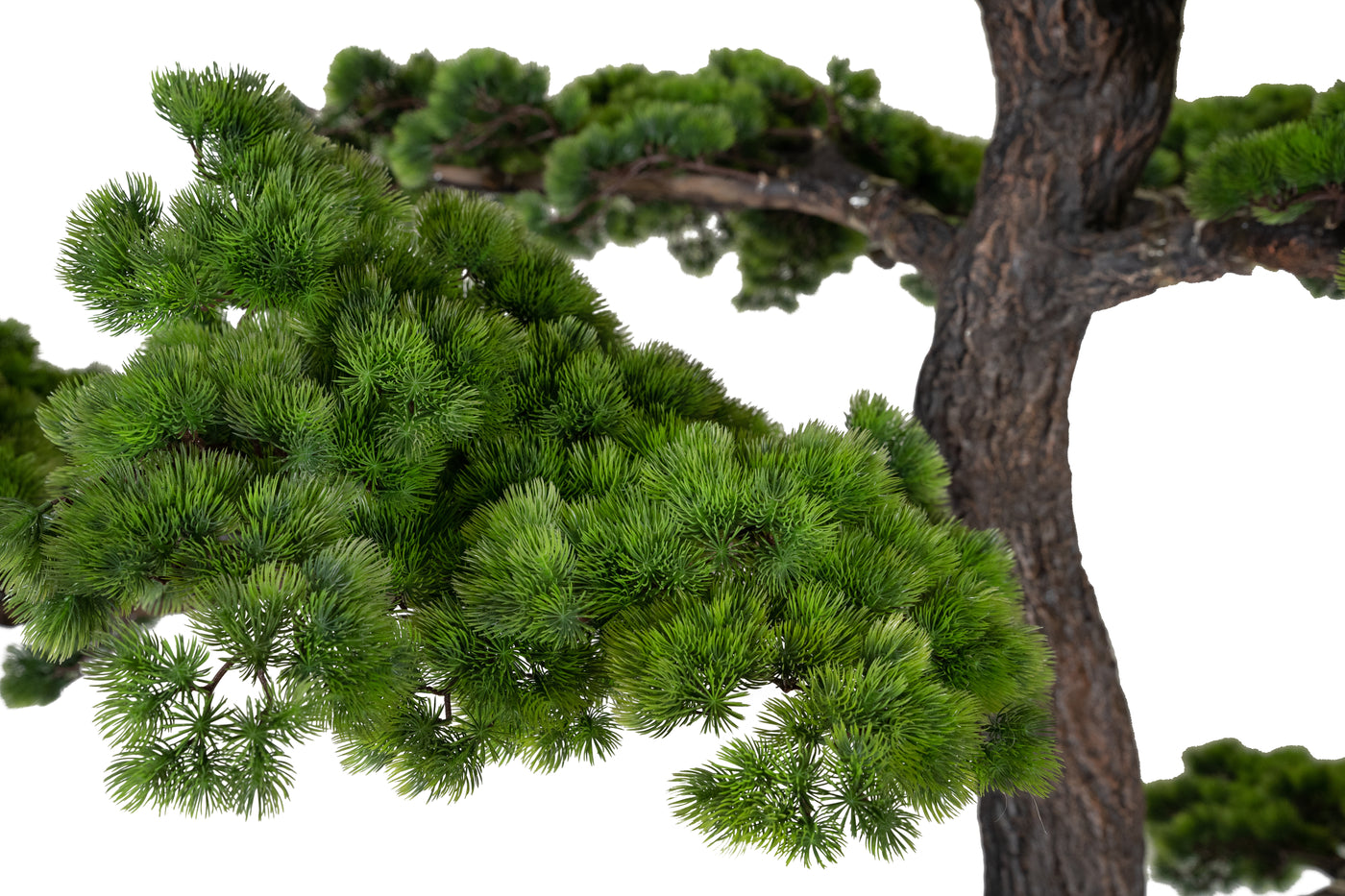 Bonsai artificial H280cm Pin cu trunchi din fibra de sticla. coroana D280xW190cm