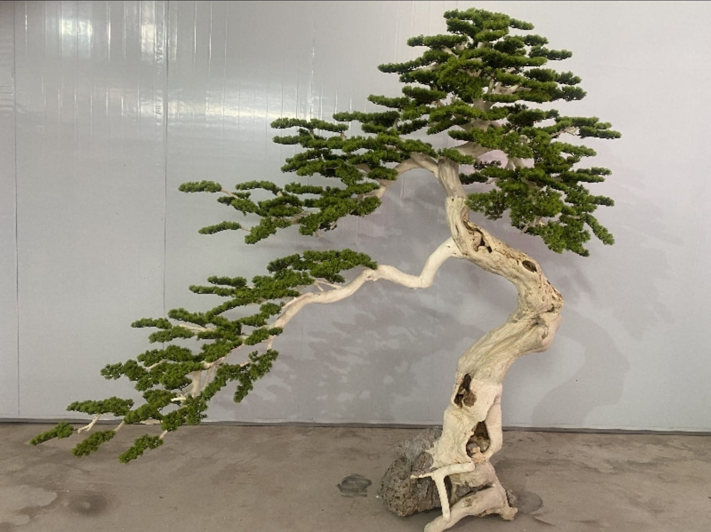 Bonsai artificial H280cm Pin cu trunchi natural din lemn cu frunze verzi