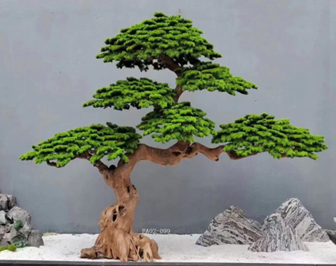 Bonsai artificial H300cm Pin cu trunchi natural din lemn. coroana L250xW110cm