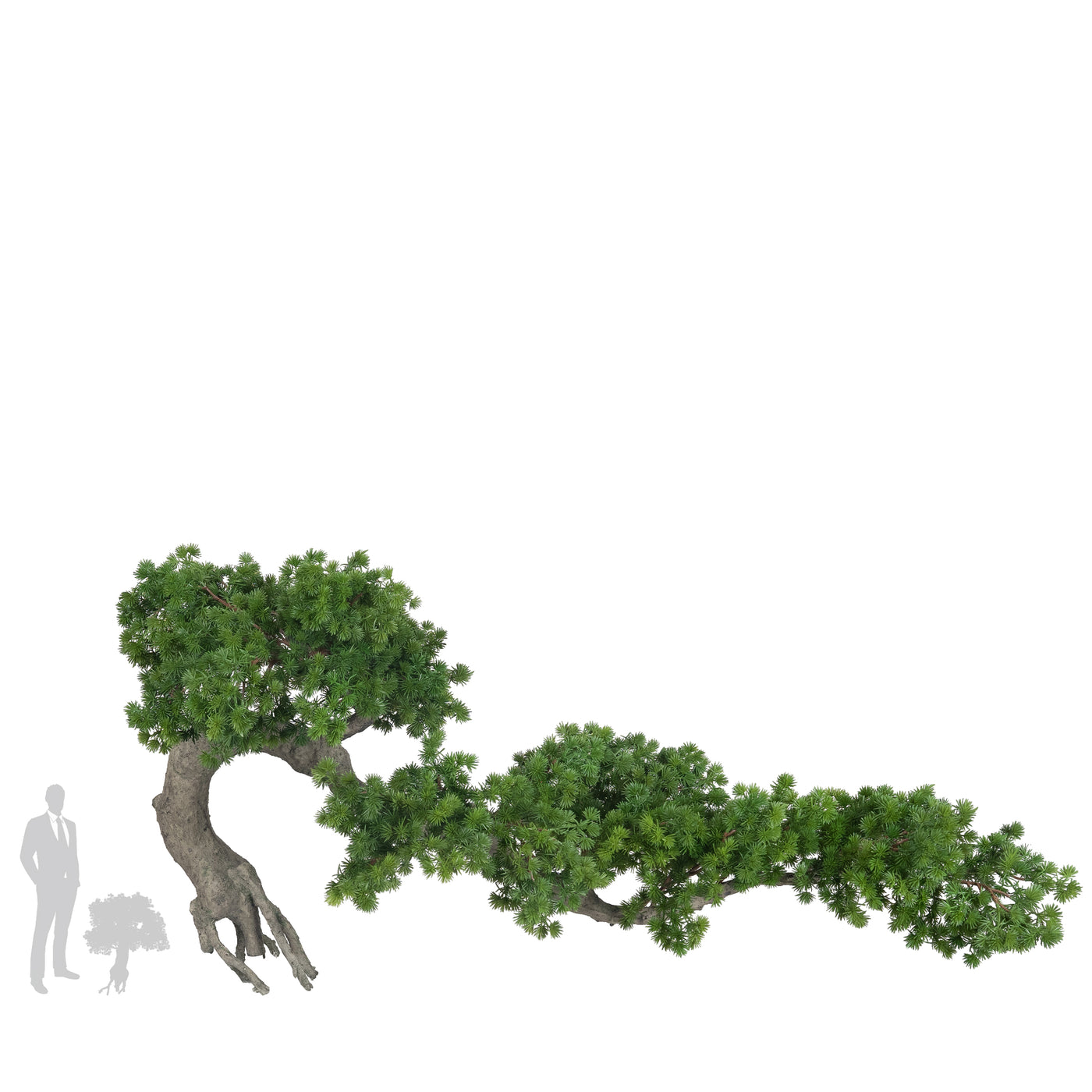 Bonsai artificial H55cm Pin cu trunchi natural din lemn cu frunze verzi