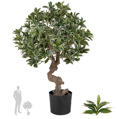 Bonsai artificial H60cm Euonymus japonez umbrella