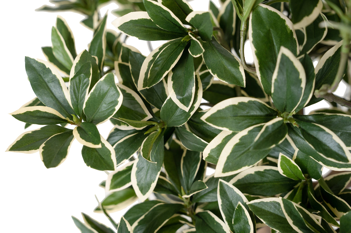 Bonsai artificial H60cm Euonymus japonez umbrella