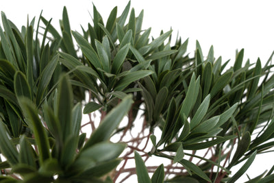 Bonsai artificial Podocarpus 90 cm. 3312 frunze