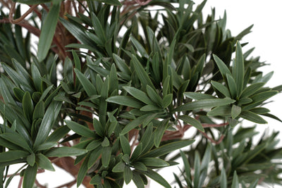 Bonsai artificiala Podocarpus 90 cm. 3312 frunze