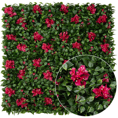 Bougainvillea 25x25x7 cm cu protectie UV