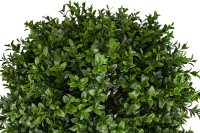 Buxus artificial H105cm cu o coroana D40cm