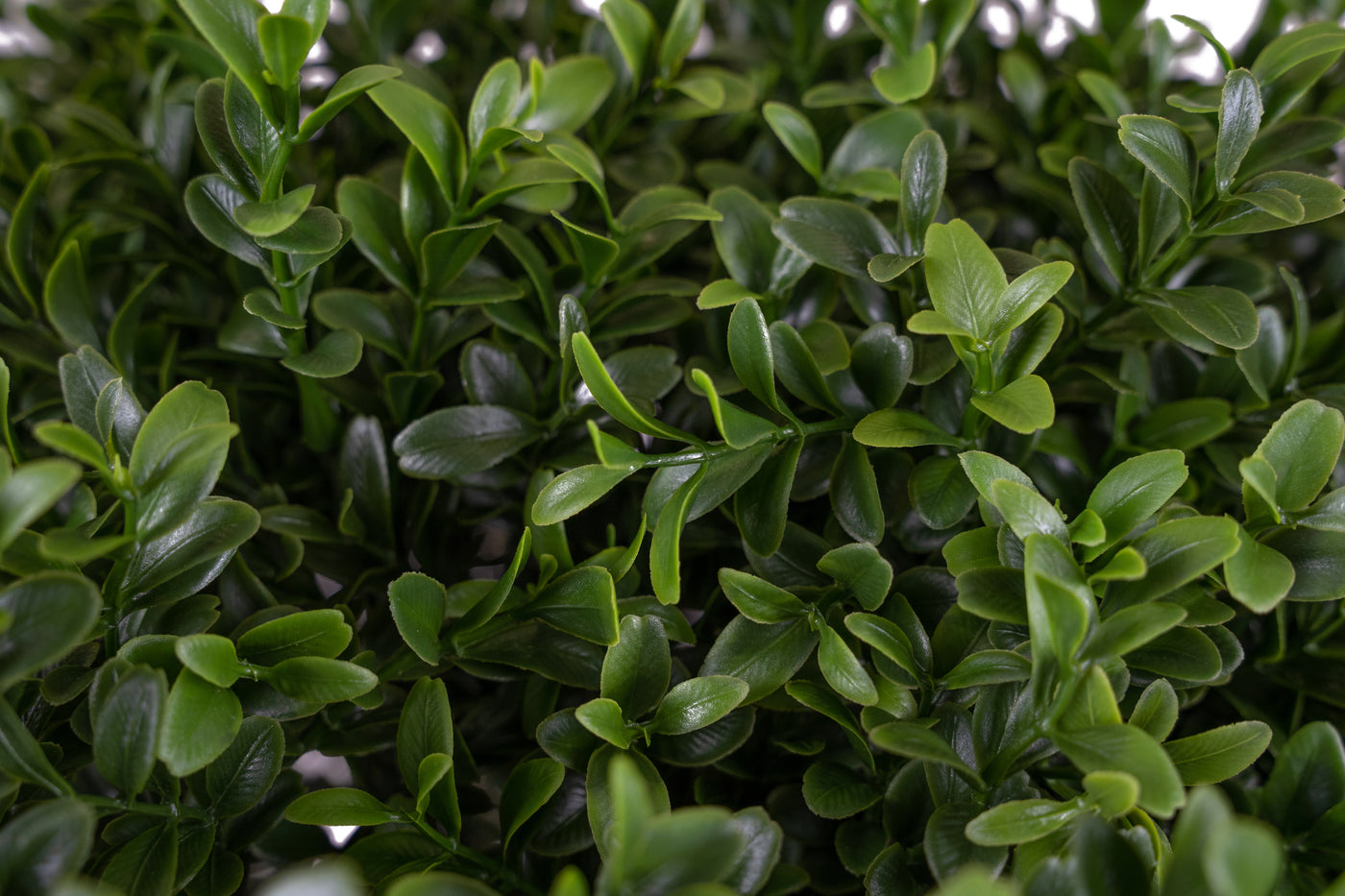 Buxus artificial H105cm cu o coroana D40cm