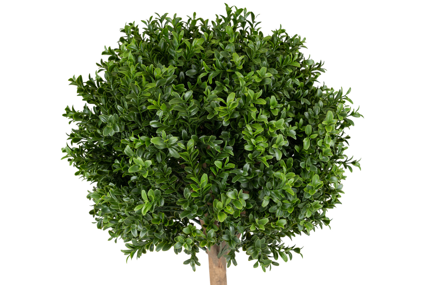 Buxus artificial H105cm cu o coroana D40cm