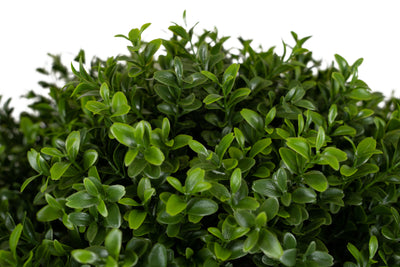 Buxus artificial H140cm cu o coroana D45cm