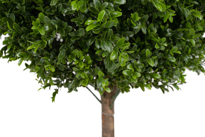 Buxus artificial H165cm cu 2 coroane