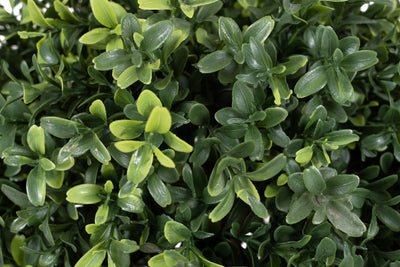 Buxus artificial H55cm. coroana rotunda D40cm cu protectie UV