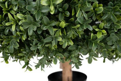 Buxus artificial H65cm. coroana rotunda D50cm cu protectie UV