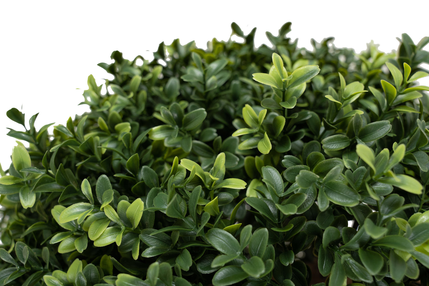 Buxus artificial H65cm. coroana rotunda D50cm cu protectie UV