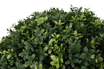 Buxus artificial H80cm. coroana rotunda D60cm cu protectie UV