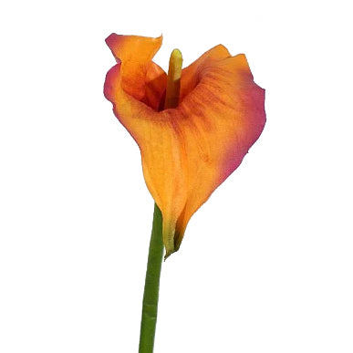 Calla artificiala portocalie D25x15XH90 cm HO