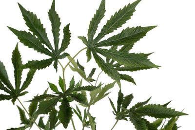 Cannabis artificial H120 cm cu 135 frunze