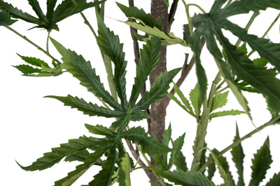 Cannabis artificial H150 cm