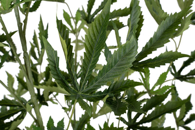 Cannabis artificial H150 cm