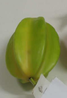 Fruct artificial Carambola HO
