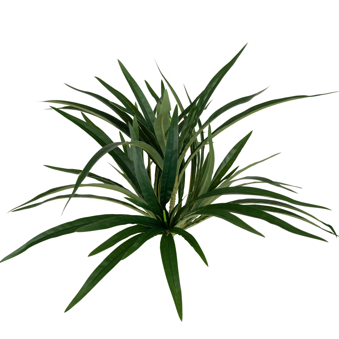 Chlorophytum artificial L D46xH46 cm cu 60 frunze GD