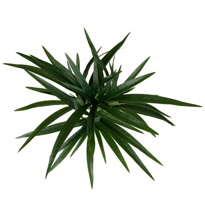 Chlorophytum artificial L D46xH46 cm cu 60 frunze GD