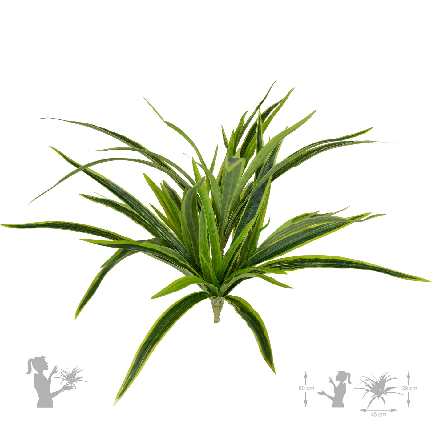 Chlorophytum artificial L D46xH46 cm cu 60 frunze GL