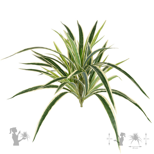 Chlorophytum artificial L D46xH46 cm cu 60 frunze GW