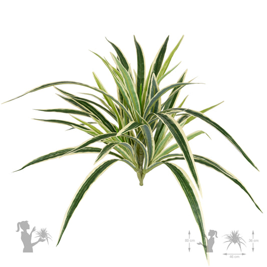 Chlorophytum artificial L D46xH46 cm cu 60 frunze GW