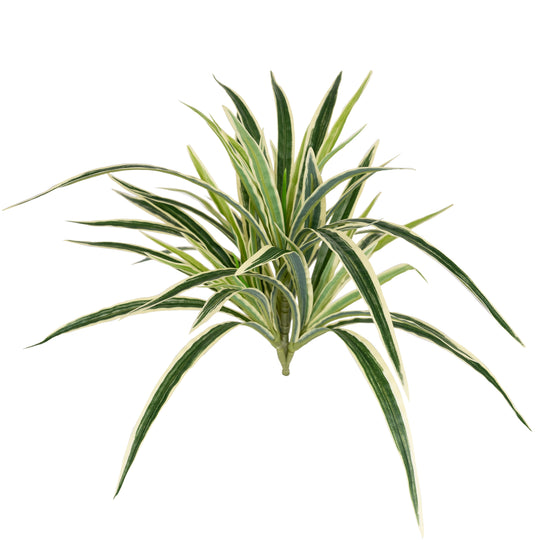 Chlorophytum artificial L D46xH46 cm cu 60 frunze GW