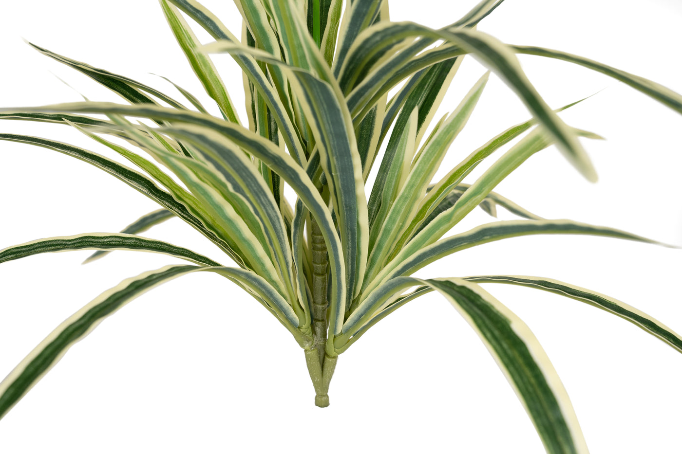 Chlorophytum artificial L D46xH46 cm cu 60 frunze GW
